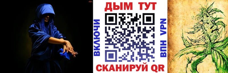 купить наркотики сайты  Микунь  Канабис AK-47 