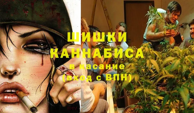 сколько стоит  Микунь  дарк нет какой сайт  Канабис White Widow 